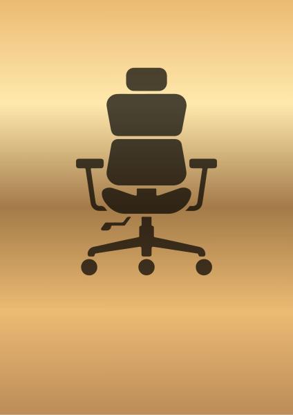 Ergonomic Chairs