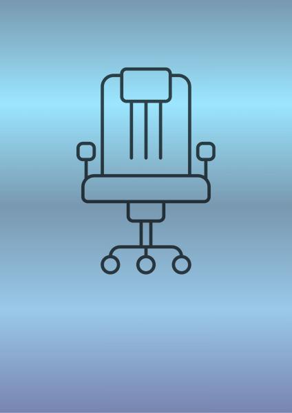 Director Chairs