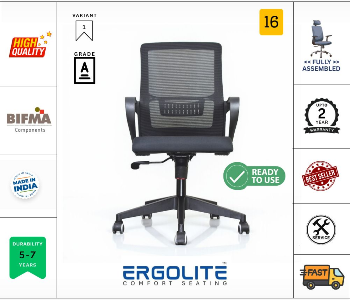 ERGOLITE CHAIR CCD-02INP 