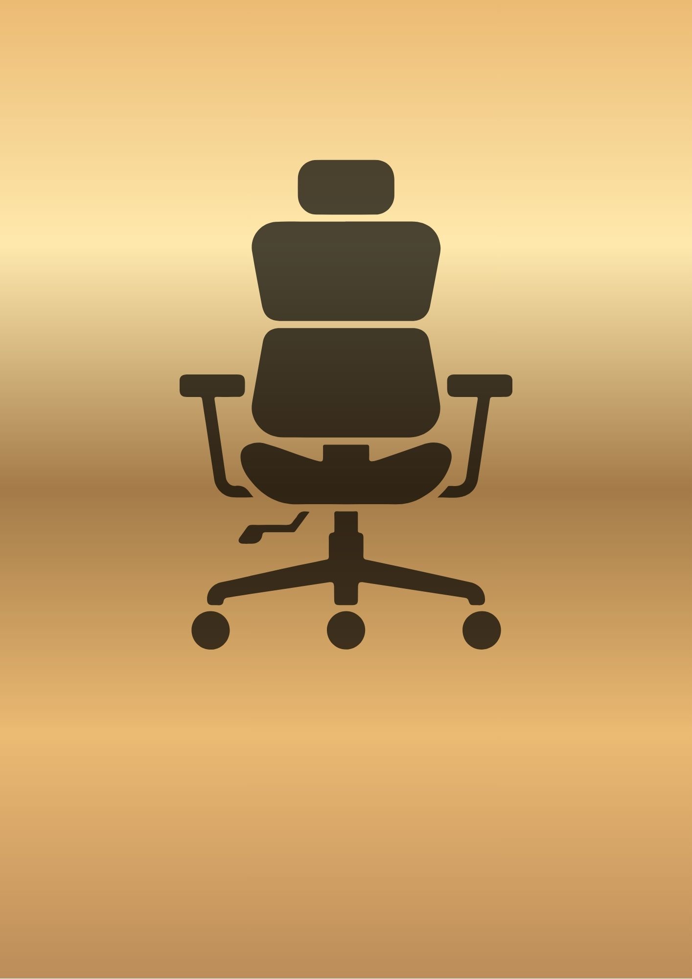 Ergonomic Chairs