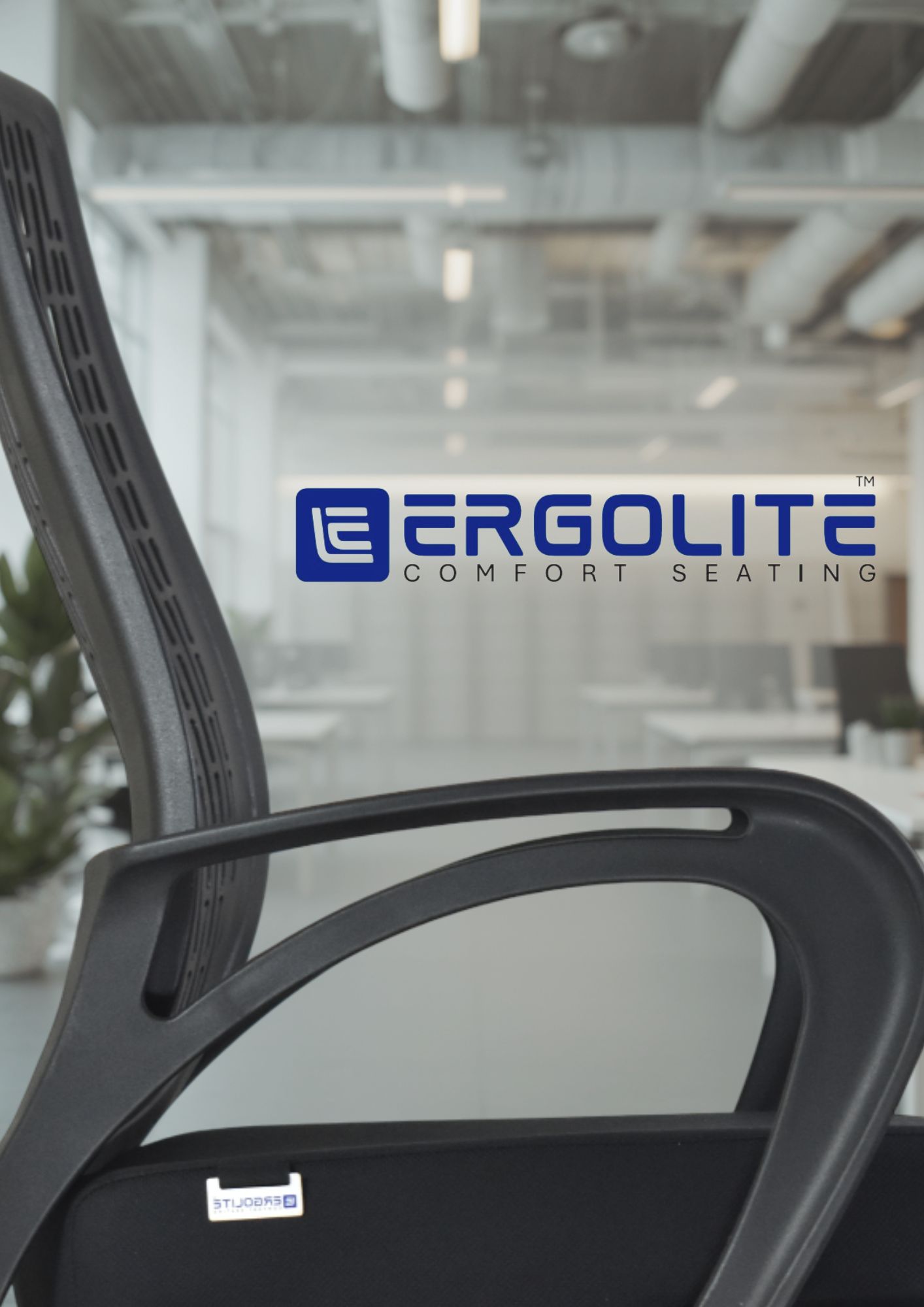 Ergolite Chairs