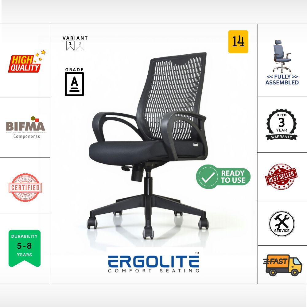 ERGOLITE CHAIR FLX-01INP